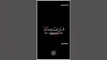 شاشة سوداء قران كريم ياسر الدوسري سورة ال عمران (هم درجات عند الله) #قران_كريم #قران