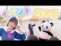 【イベントレポート】パンダさんといっしょ🐼栃木イベントの様子を大公開！【2025年10月】