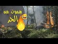 هموت من الحر 