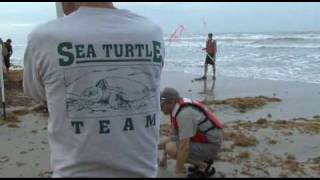 Help Save the Kemp's Ridley sea turtle 2009 preview