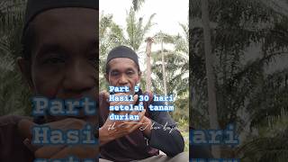 Part 5. Hasil setelah 30 hari setelah tanam durian #durian #edukasi #shorts