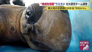 あの
