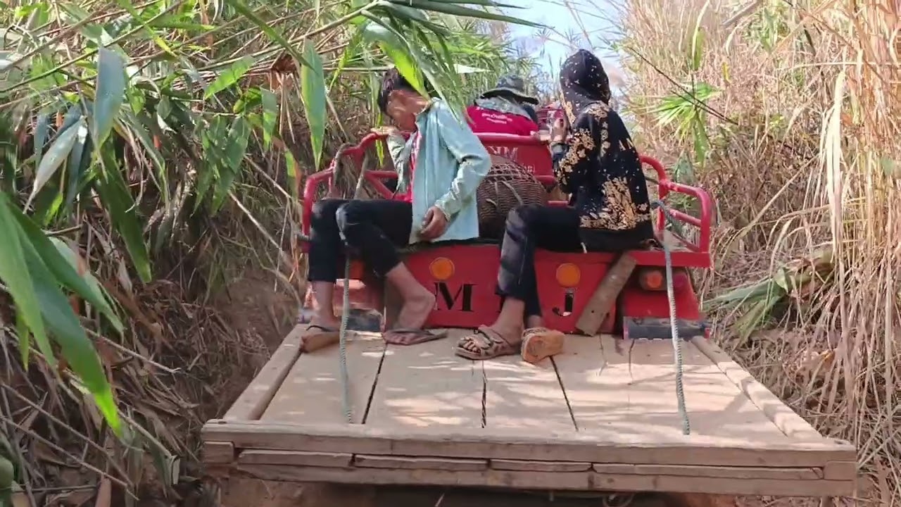 tsav tsheb thauj qos