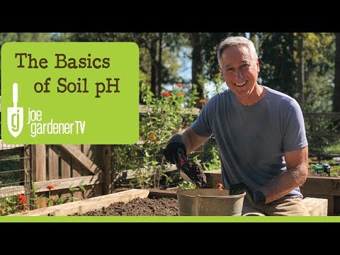 The Basics of Soil pH