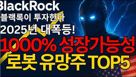 2025 대폭등에 블랙록이 연속 매집하는 1000% 성장가능성 AI 로봇 유망주 TOP5 (TSLA,현대로보틱스 포함)