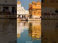 gurudwara #gurughar #punjabi #punjab #amritsar #goldentemple #darbarsahib #video #viral #shortsfeed