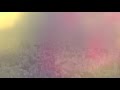 スミレ / sumire sumomo - 愛情のない海(short ver.)