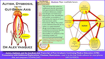 Biological Plausibility of the Gut-Brain Axis in Autism