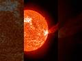 JUST IN: Sunspots AR 4419 Erupts X2.5 Flare #shorts #science #space #milkyway