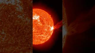 JUST IN: Sunspots AR 4419 Erupts X2.5 Flare #shorts #science #space #milkyway