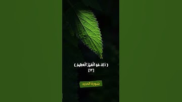 "يَوْمَ تَرَى الْمُؤْمِنِينَ وَالْمُؤْمِنَاتِ يَسْعَىٰ نُورُهُم " || تلاوة خاشعة