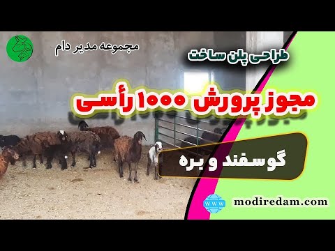 طراحی پلن جایگاه پرورش گوسفند و بره - YouTube