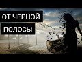 ОТ ЧЁРНОЙ ПОЛОСЫ В ЖИЗНИ. МАГИЧЕСКАЯ ЧИСТКА