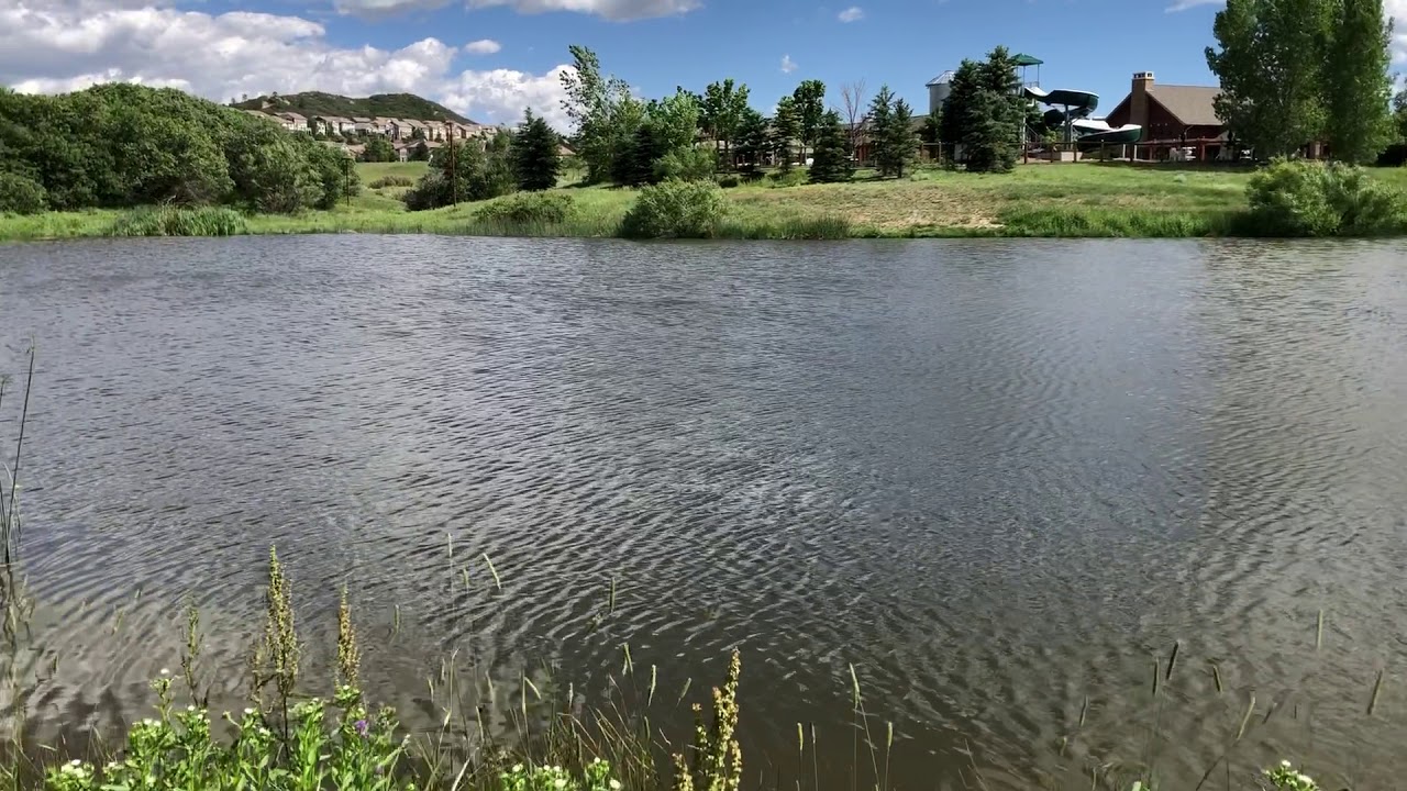 Meadows Pond YouTube