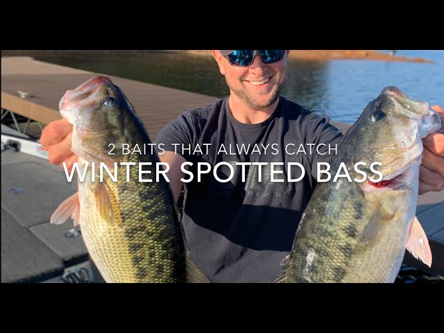 BEST Bass Fishing Rig : Dropshot vs Texas? 