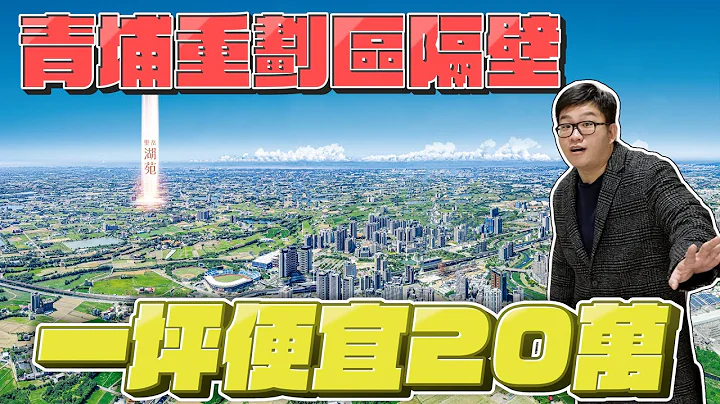 【Joeman】划算吗？买在青埔隔壁一坪便宜20万！圣岳湖苑《Joe是要看房》ep.33 - 天天要闻