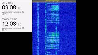 The Buzzer/UVB-76(4625Khz) August 18, 2021 Voice messages