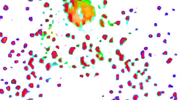 Jet Nebula - Tentáculos  [Visual Version]