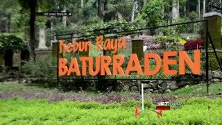 NET JATENG - KEBUN RAYA BATURRADEN