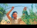 Moringa Ke Patte Kaise Todte hain#morning #rupasikavlog #vlog
