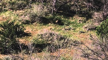 Tracking Moving Targets and Extreme Accuracy  ft. Darren Jones