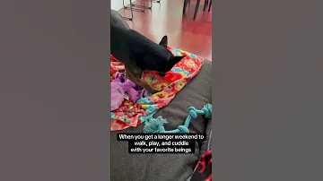 When You Get An Extra Day To Hang With Your Favorite Beings 