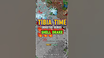 Tibia Time Boosted Series: Shell Drake! #tibia #gaming #ayceadventure #shorts