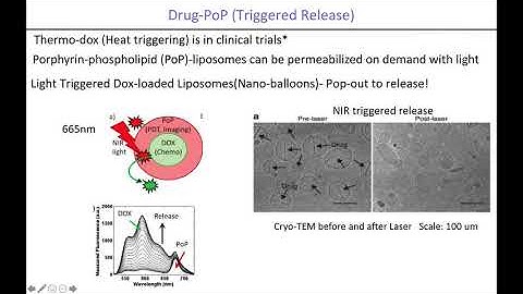 Endoscopic Spatial Frequency Domain Imaging (eSFDI)