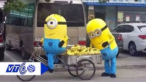 Thu lãi tiền tỷ mỗi năm nhờ chuối sạch | VTC