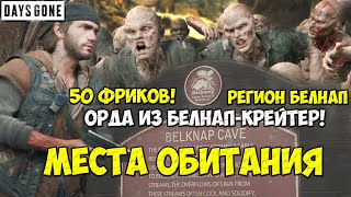 Орда из Белнап-Крейтер(Belknap Crater Horde). 50 Фриков. Белнап. Места обитания. #daysgone #horde