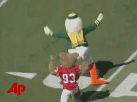 Duck and Cougar Mascot Beatdown