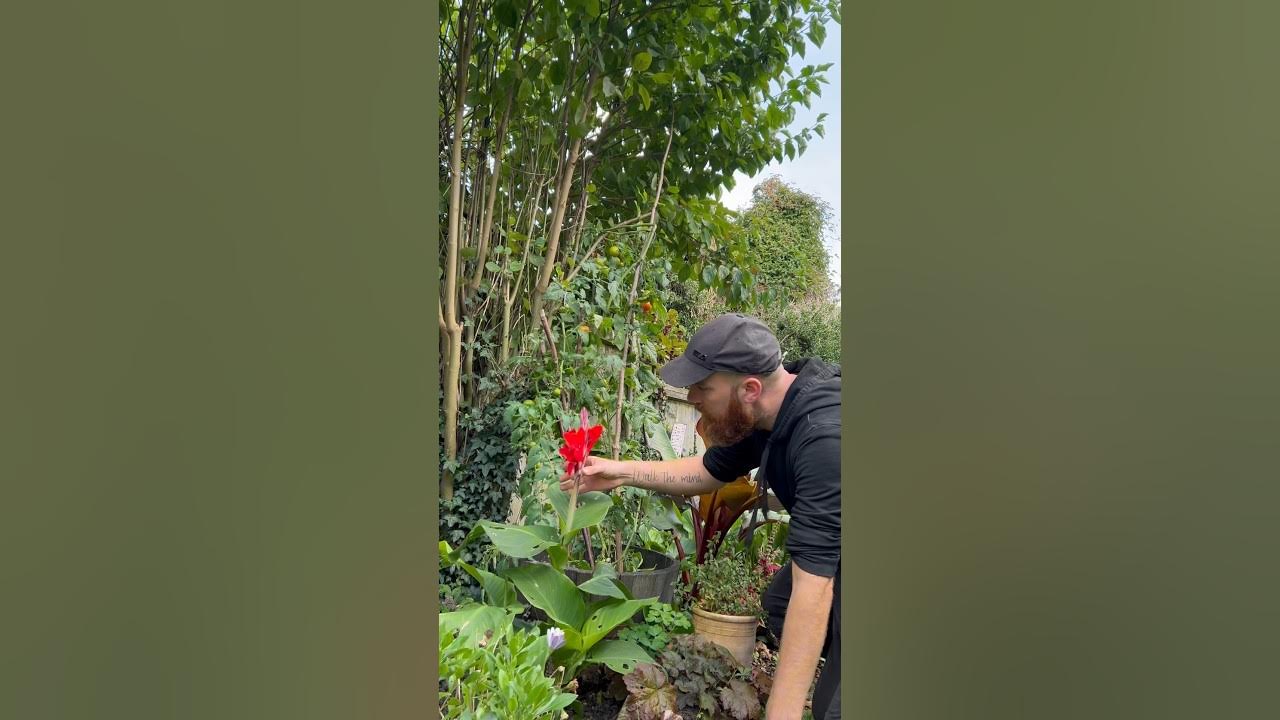 Look how this man checks his flower! YouTube