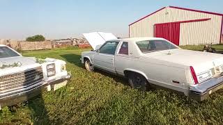 Sports Performance ColdStart of the 1979 Oldsmobile ninety eight before the weed jungle reclaims it #403V8#Regency