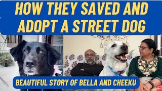 How They Saved and Adopt a Indian Street Dog || Beautiful Story Of Bella and Cheeku by The Ultimate Channel 688 views 1 month ago 14 minutes, 44 seconds