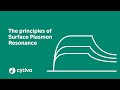 Principles of surface plasmon resonance spr used in biacore systems  cytiva