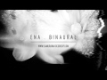 ENA Reconnoiter