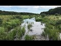Restoring a River: Bringing back the Coonamessett