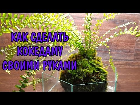 КАК СДЕЛАТЬ КОКЕДАМУ СВОИМИ РУКАМИ. #1. KOKEDAMA DIY