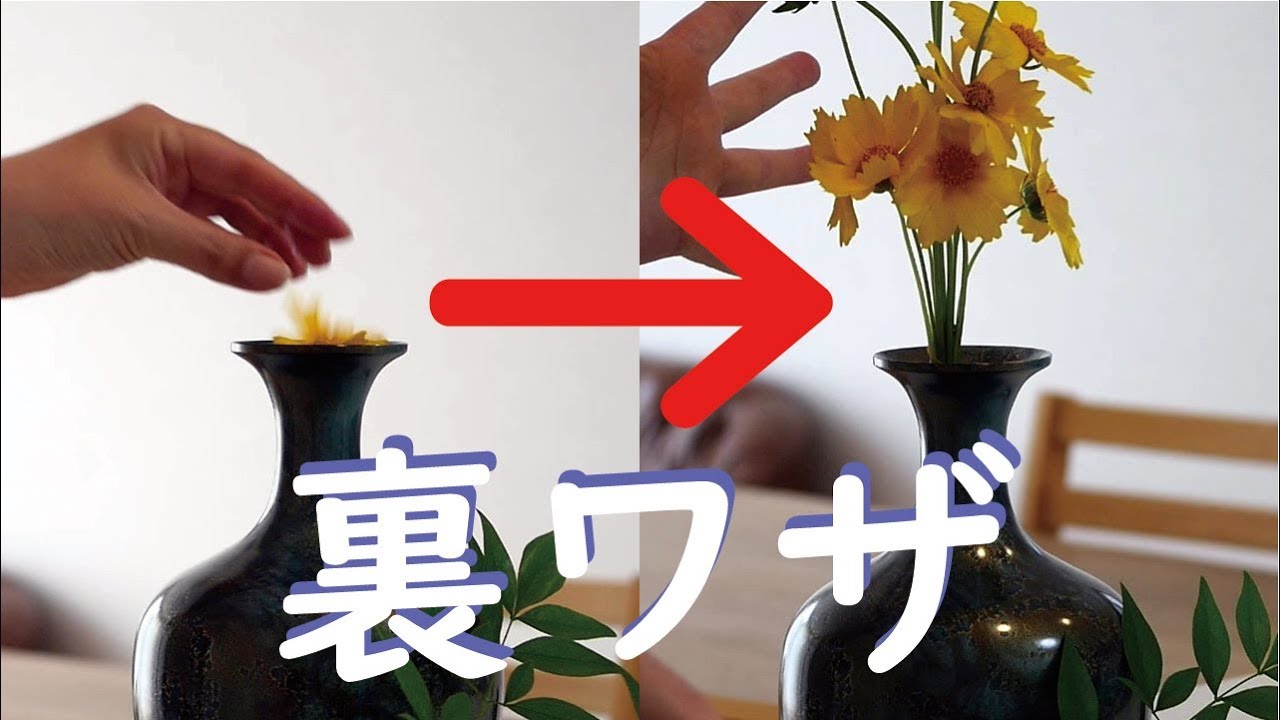 生け花の裏ワザ教えます 花瓶を使おう 簡単 Youtube