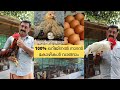 തനി നാടൻ കോഴികളെ വാങ്ങാം|നാടൻ കോഴി വളർത്തലിൽ 20 വർഷമായി തുടരുന്ന വിജയ യാത്ര|Nadan kozhi valarthal