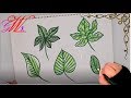 طريقة رسم وتلوين أوراق شجر  Draw different types of Leaves, How to draw Leaves