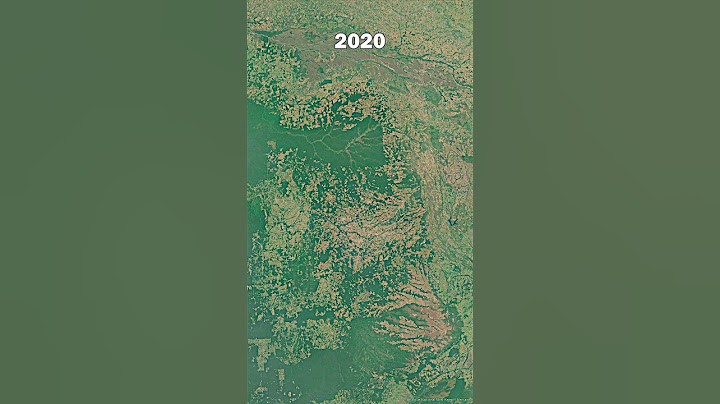 36 Year In 10 Seconds - The Amazon Rainforest Timelapse