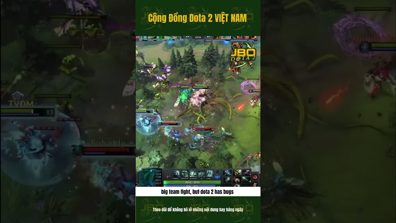 big team fight, but dota 2 has bugs 