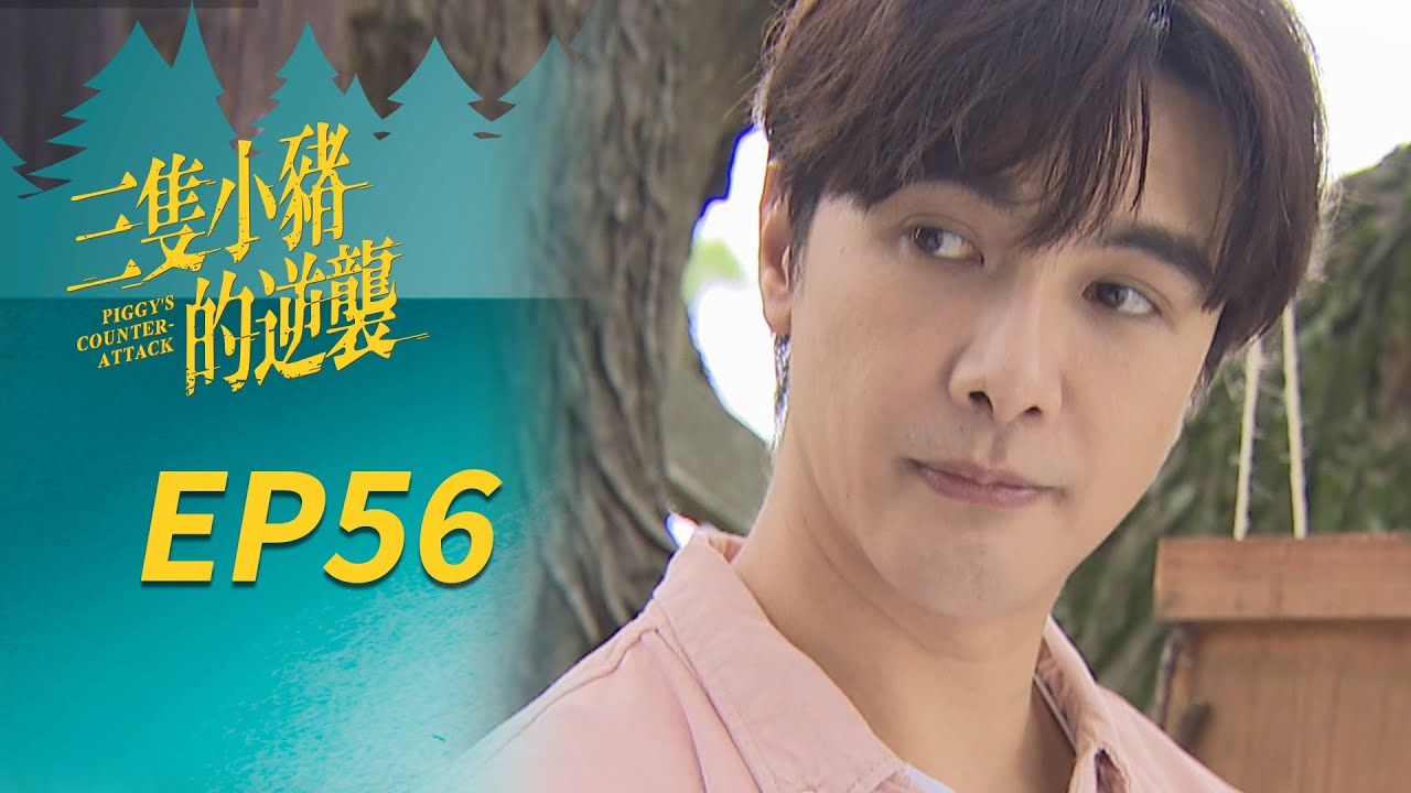 三隻小豬的逆襲 EP56 Piggy's Counterattack｜三立華劇