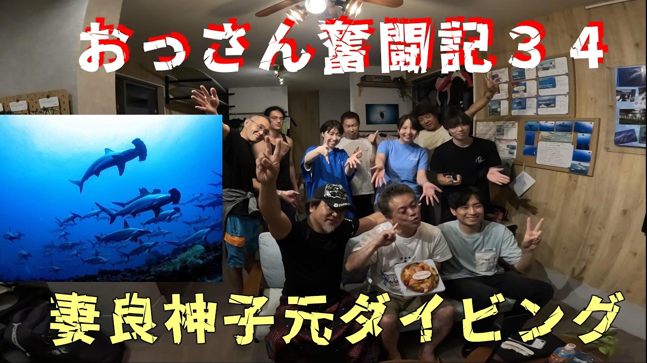 おっさん奮闘記34 妻良・神子元ダイビング ハンマーシャークの群れ