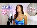 Apache 207 - Breaking your heart | Jamie Roseanne Cover