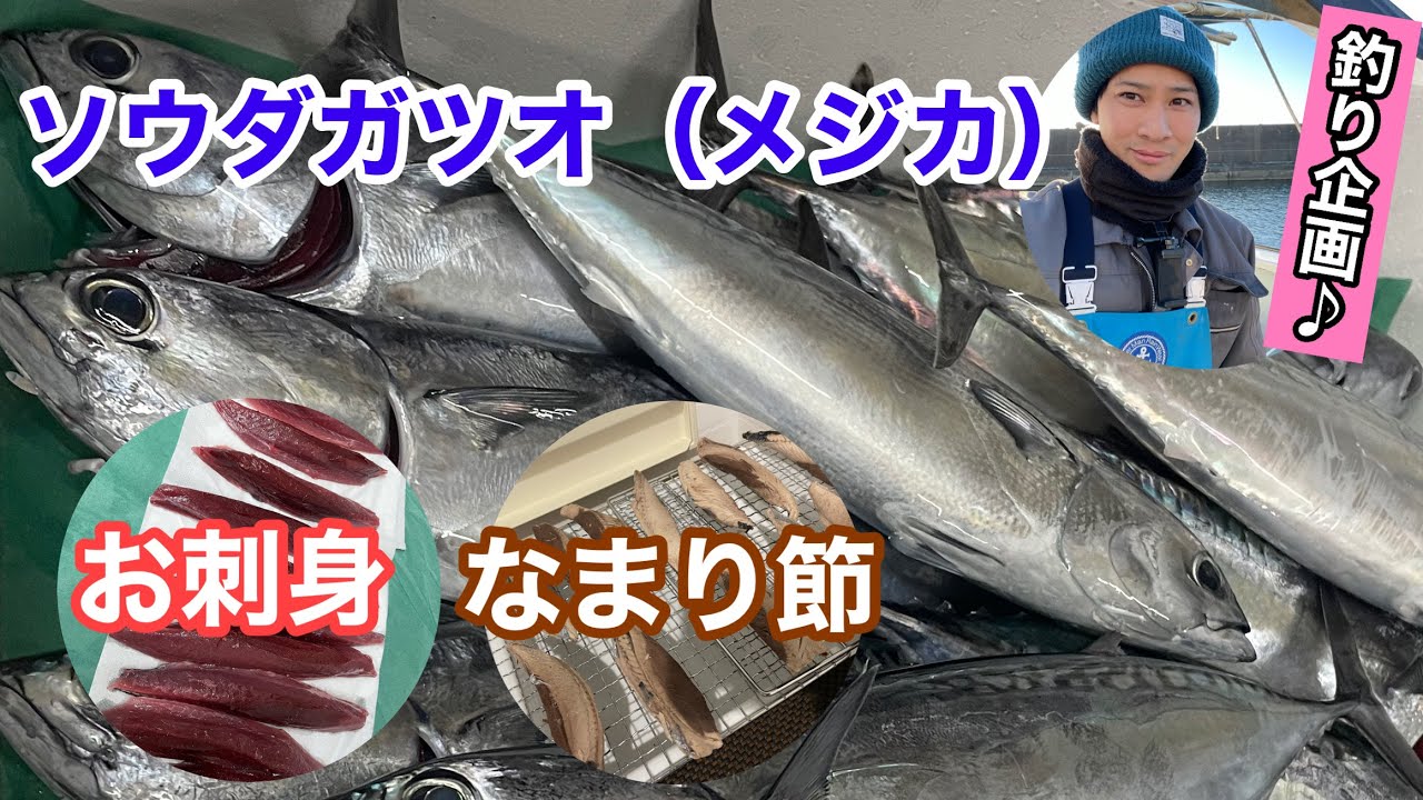 魚屋の休日☆ソウダガツオ(メジカ)のお刺身となまり節の作り方 魚屋の休日☆ソウダガツオ(メジカ)のお刺身となまり節の作り方
