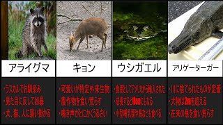特定外来生物17選