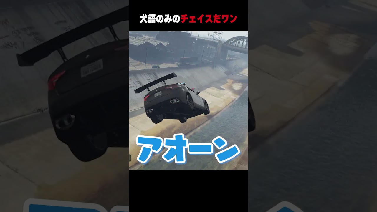 【#ストグラ】犬語のみのチェイスだワン【犬上リオ/ストグラ切り抜き】