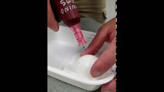 IO Drilling an egg